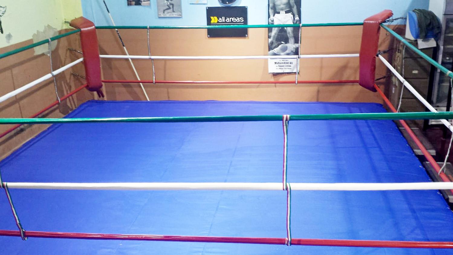 Boxe Modena